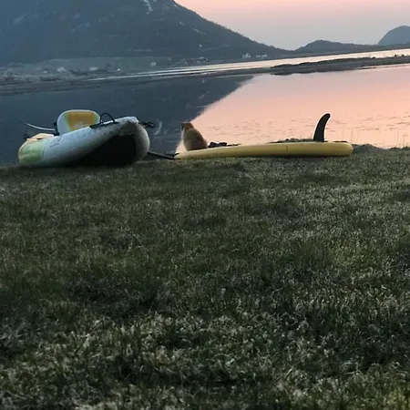 Lofoten Pensjonat *